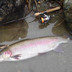 天竜川ルアーフライ専用区